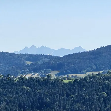 Lesna Enklawa Pod Wielka Gora Pisarzowa